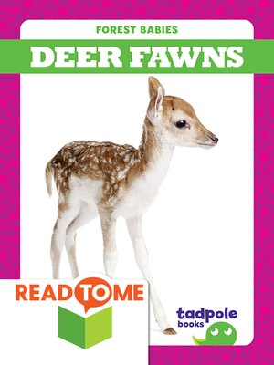cover image of Deer Fawns